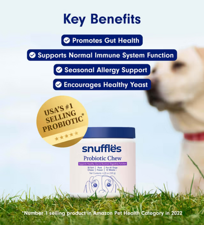 Meet The First Clinically Studied Probiotic Soft Chew For Dogs