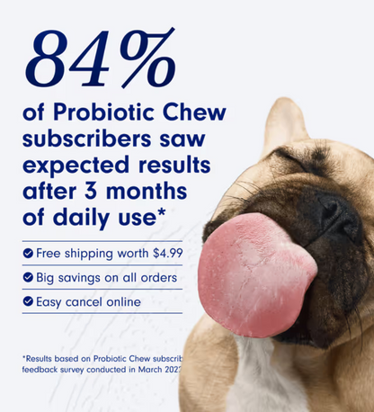 Meet The First Clinically Studied Probiotic Soft Chew For Dogs